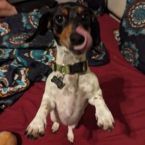 Meet your Posher, Posh